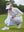 Woman adjusting ankle zip on Women's Ultra-stretch Quick Dry Sweatpants with Ankle Zips in white on golf course